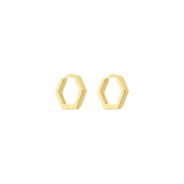 Small Hexagon Earring