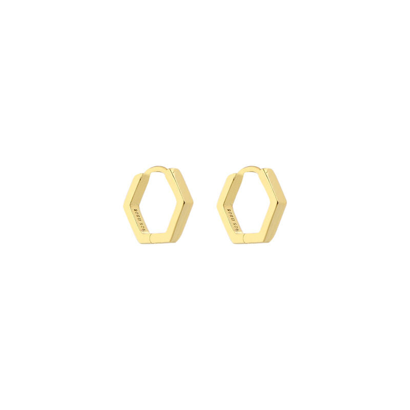 Small Hexagon Earring