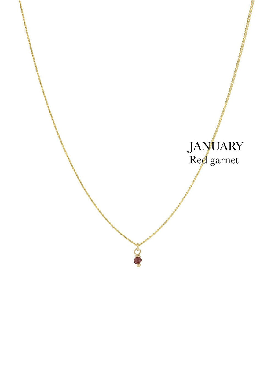 Birthstone necklace - January